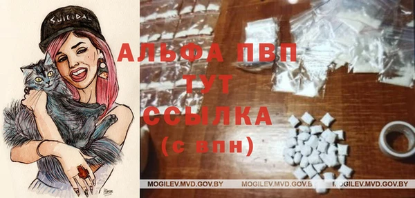 мяу мяу мука Алексеевка
