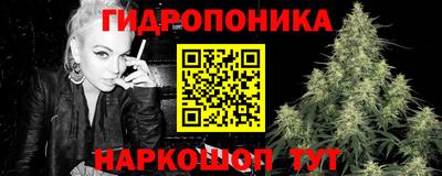 крисы Коломна
