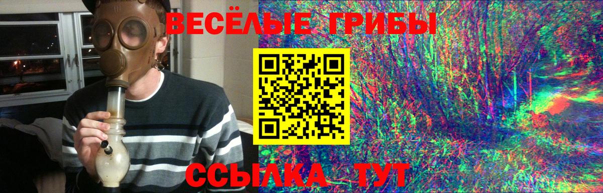 Псилоцибиновые грибы прущие грибы Искитим